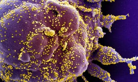 Coronavirus Pandemic Solutions Sought by Government