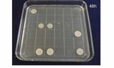 Santa Fe BioLabs Granted Patent for Identification System of Viable Candida auris