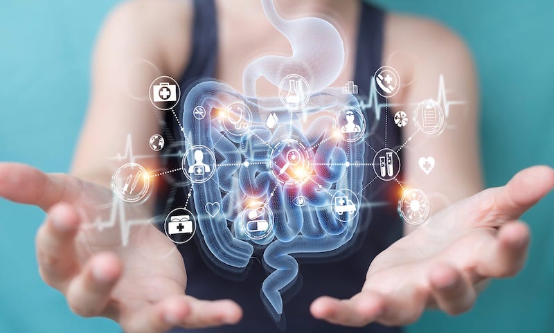 Metabolon Launches Targeted Panels to Help Identify Gut Health Biomarkers